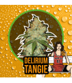 DELIRIUM SEEDS DELIRIUM TANGI 4UDS