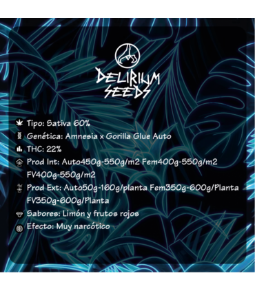 DELIRIUM SEEDS GORILLA XL AUTO 2 UDS