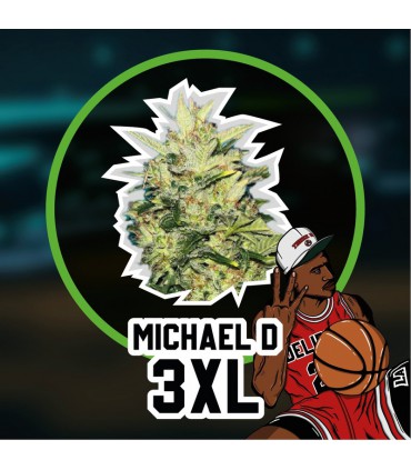 DELIRIUM SEEDS MICHAEL D 3XL AUTO 2UDS