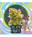 DELIRIUM SEEDS GELATO FRUITS 4UDS
