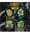 DELIRIUM SEEDS MIX DELIRIUM CRACK FAST 14UDS