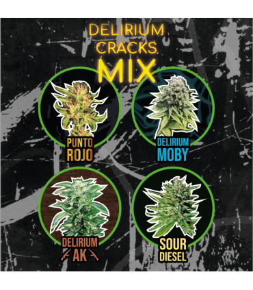 DELIRIUM SEEDS MIX DELIRIUM CRACK FAST 4UDS