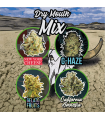 DELIRIUM SEEDS MIX DRY MOUTH LINE AUTO 14UDS