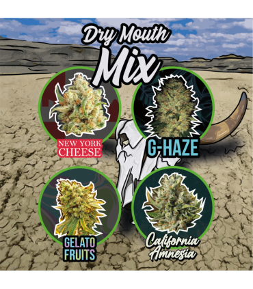 DELIRIUM SEEDS MIX DRY MOUTH LINE AUTO 8UDS
