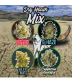 DELIRIUM SEEDS MIX DRY MOUTH LINE AUTO 4UDS