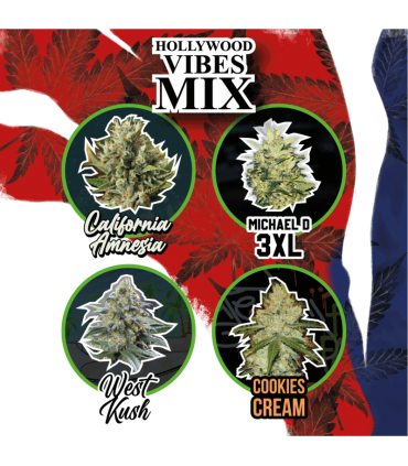 DELIRIUM SEEDS MIX HOLLYWOOD VIBE AUTO 14UDS