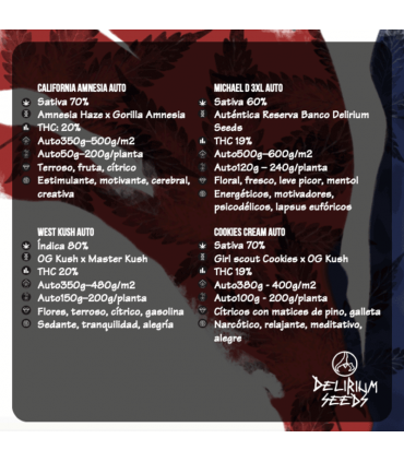 DELIRIUM SEEDS MIX HOLLYWOOD VIBE AUTO 4UDS