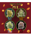DELIRIUM SEEDS MIX VEGAS RUSH 4UDS
