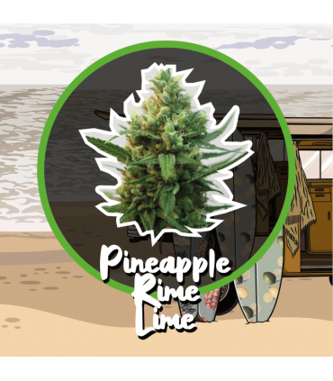 DELIRIUM SEEDS PINEAPPLE RIME LINE 1UD