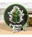 DELIRIUM SEEDS PINEAPPLE RIME LINE AUTO 2UDS