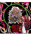DELIRIUM SEEDS RED RAPPER AUTO 4UDS