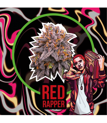 DELIRIUM SEEDS RED RAPPER 4UDS