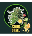 DELIRIUM SEEDS SOUR DIESEL FAST 1UD