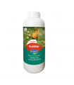 ARANITAS GREEN LINE ANASAC 100 CC