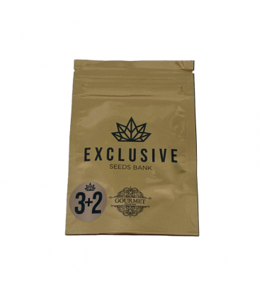 EXCLUSIVE SEEDS MAKA SUGARY 3+2UDS