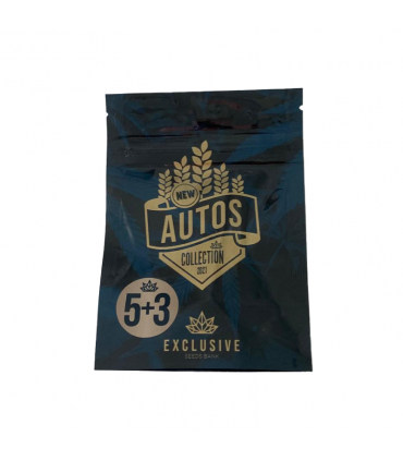 EXCLUSIVE SEEDS MANDARINA AUTO 5+3UDS