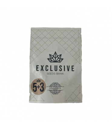 EXCLUSIVE SEEDS SILVER SURFER 5+3UDS