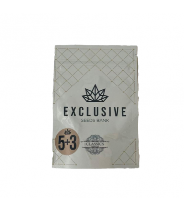 EXCLUSIVE SEEDS JAMAICAN SHARK 5+3UDS