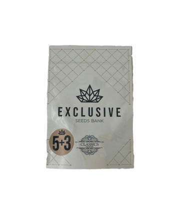 EXCLUSIVE SEEDS OG KUSH 5+3UDS