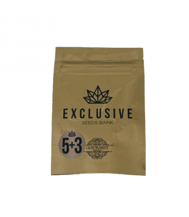 EXCLUSIVE SEEDS EXCLUSI DOS 5+3UDS