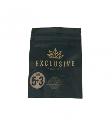 EXCLUSIVE SEEDS KUSH EXCLUSIVE 5+3UDS