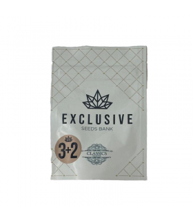 EXCLUSIVE SEEDS DOBLE W 3+2UDS