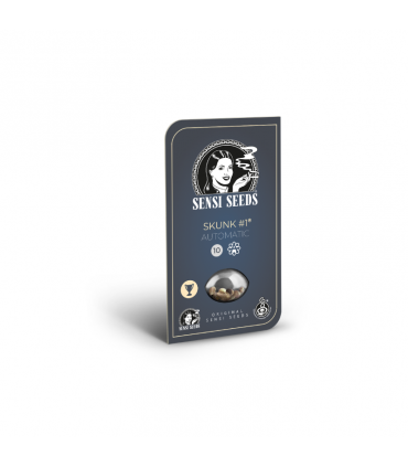 SENSI SEEDS SKUNK 1 AUTO 10UDS