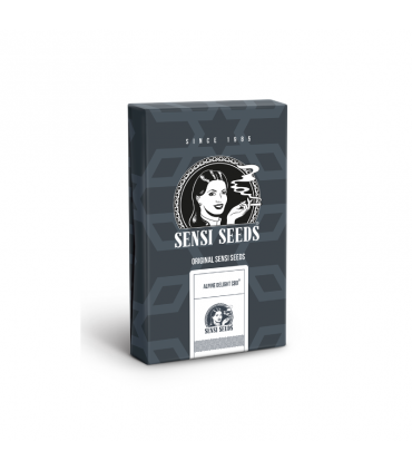 SENSI SEEDS ALPINE DELIGHT CBD AUTO 3UDS