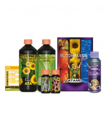 BOX BLOOMBASTIC TERRA