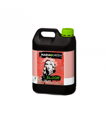 BLOOM 5L MARIA GREEN