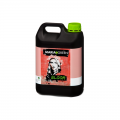BLOOM 5L MARIA GREEN