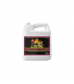 VOODOO JUICE 5L ADVANCED NUTRIENTS