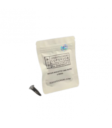 SEEDSTOCKERS TRITON BISCOTTO LIME AUTO 3UDS