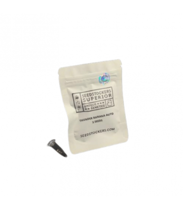 SEEDSTOCKERS THUNDER BANANA AUTO 3UDS
