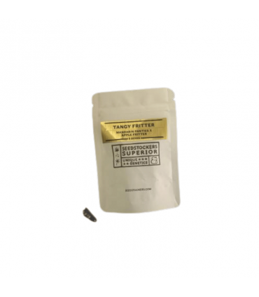 SEEDSTOCKERS TANGY FRITTER 5UDS