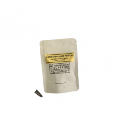 SEEDSTOCKERS LONDON POUND PUNCH 5UDS