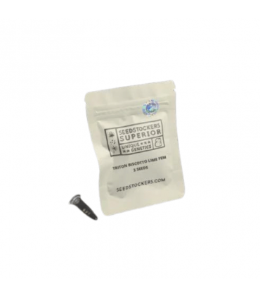 SEEDSTOCKERS TRITON BISCOTTO LIME FEM 3UDS