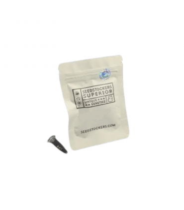 SEEDSTOCKERS RUCU CUCU OG FEM 3UDS