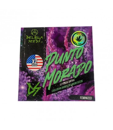 DELIRIUM SEEDS PUNTO MORADO 2 FEM