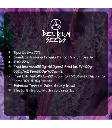 DELIRIUM SEEDS PUNTO MORADO 4 FV