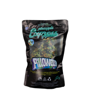 PINEAPPLE TAMAÑO S PILLOWEED