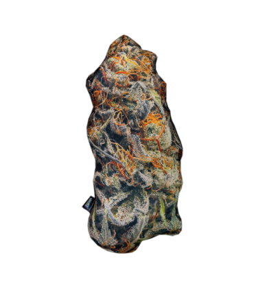 CREAM MANDARIN TAMAÑO L PILLOWEED