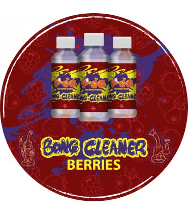 BONG CLEANER BERRIES 250ML PEC