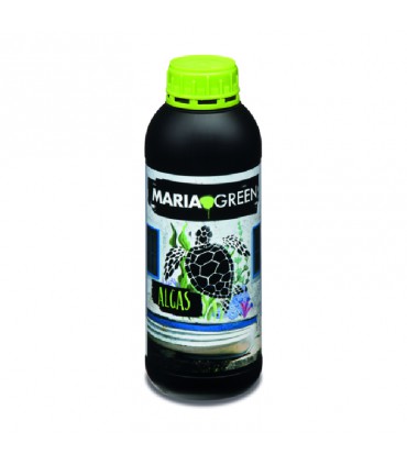 ALGAX 1L MARIA GREEN