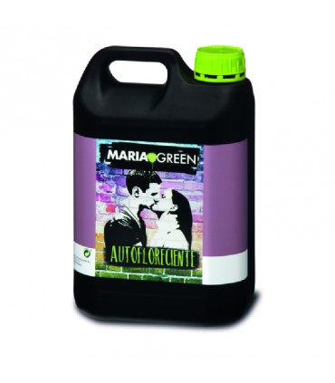 AUTOFLOW 5L MARIA GREEN