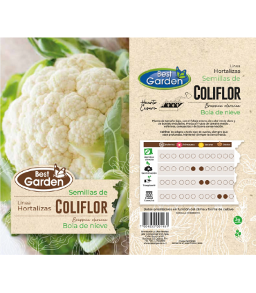 BEST GARDEN SEMILLA COLIFLOR 3GRS 5UDS