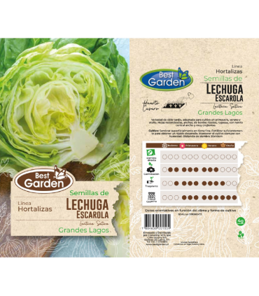 BEST GARDEN SEMILLA LECHUGA ESCAROLA 4GRS 5UDS