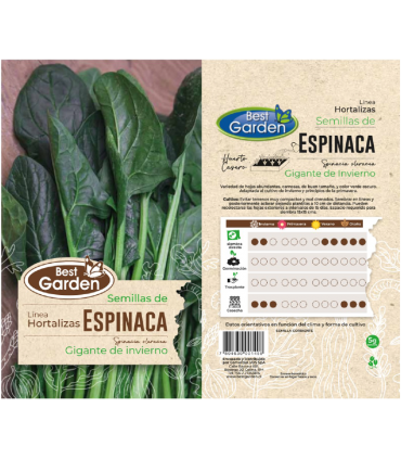 BEST GARDEN SEMILLA ESPINACA 5GRS 5UDS