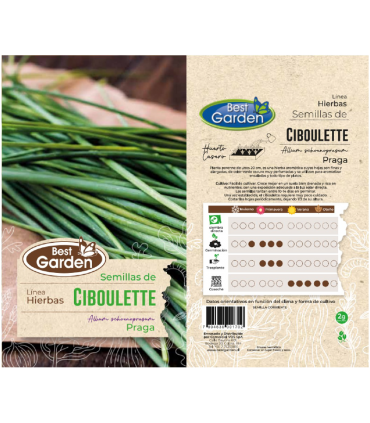 BEST GARDEN SEMILLA CIBOULETTE 2GRS 5UDS