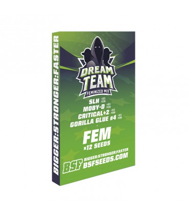 DREAM TEAM FEMINIZED MIX 12UDS BSF SEEDS
